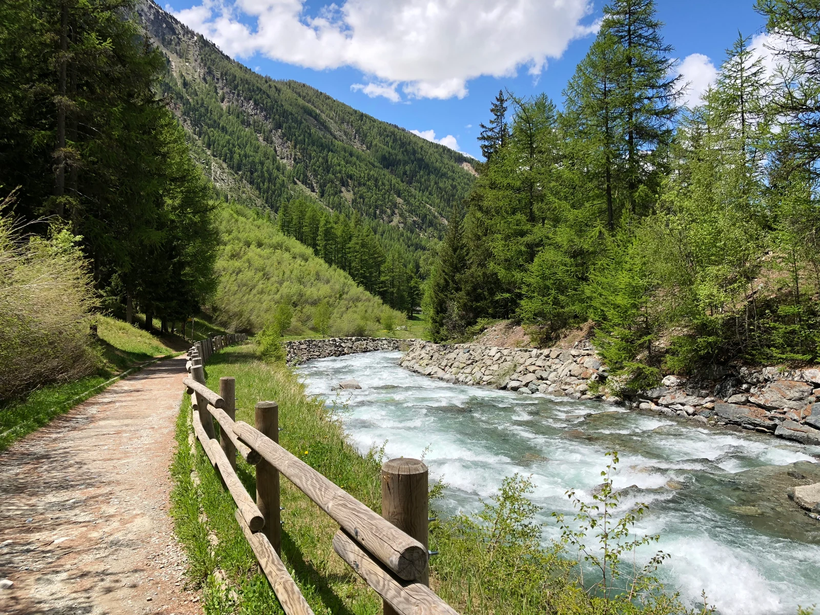 Il sentiero costeggia il torrente fra gli alberi