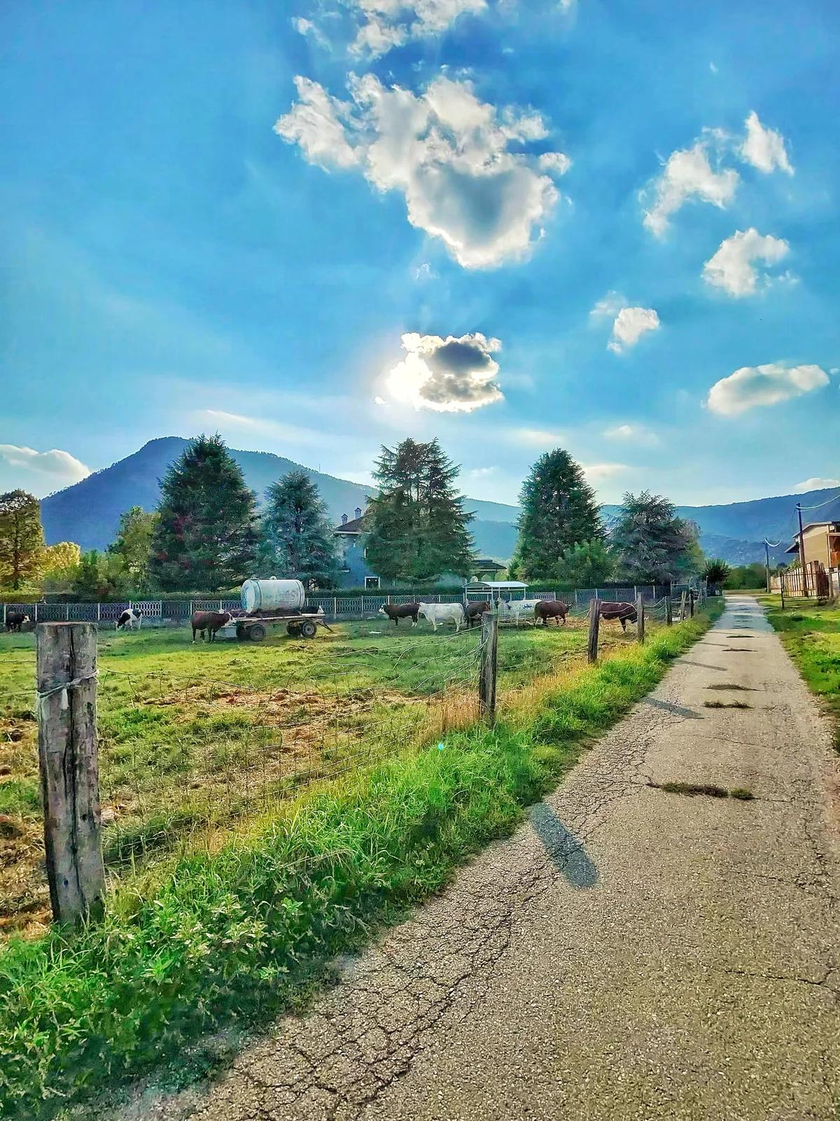 Strada rurale accanto a un pascolo con montagne all’orizzonte